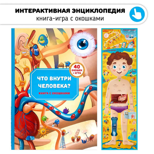 Что внутри человека? "Анатомия